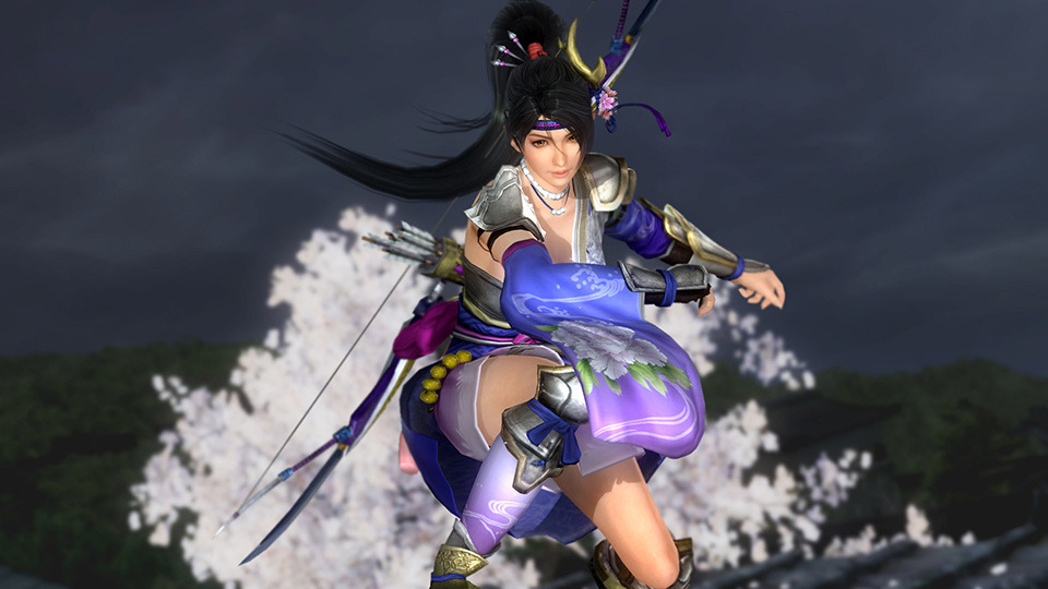 lovemadamenova:  deadoralive-universe:  Samurai Warriors Costumes DOA5LR SW Mashup