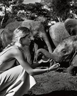 @glamourmag followed me and my family as we traveled to save the elephants in Samburu  @savetheelephants &amp; @DSWT - http://ift.tt/Mp4z2E Kenya to help protect Africa’s elephants. See all the photos and video on http://glamour.com (link in bio) by