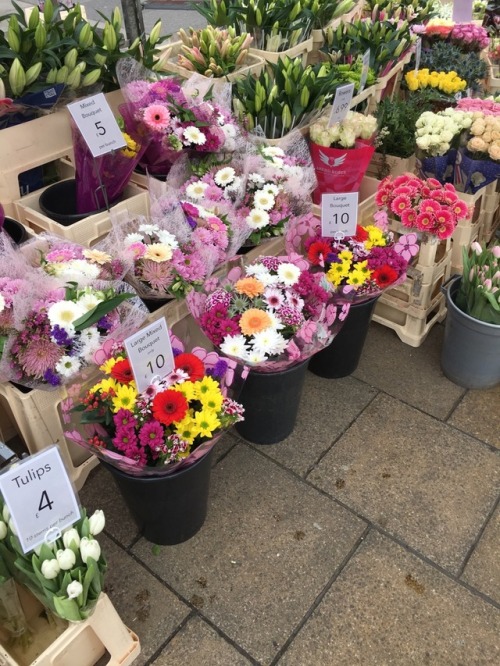 sadplanty - came across a really cute stand selling pretty flowers...