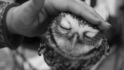 If there's love, just feel it.