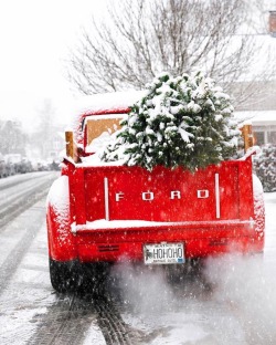 oldfarmhouse:  Getting Ready for Christmas🌲  http://instagram.com/newengland_igers 