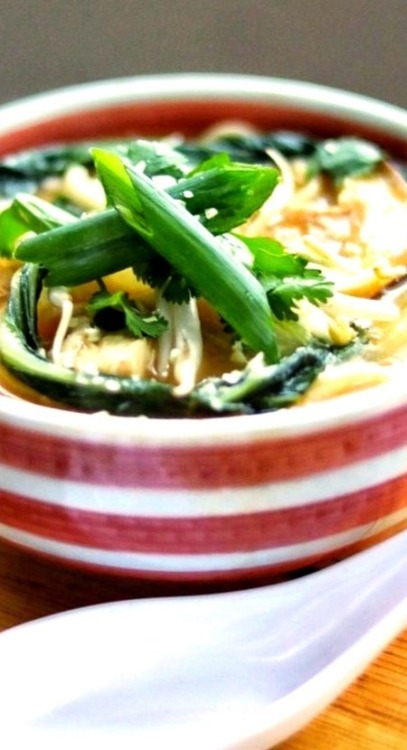 Soups, Stews and Chili Recipe
This udon soup recipe with tender chicken, mushrooms, bok choy, bean sprouts, onion, garlic, and ginger is a warm, comforting dish on chilly nights.