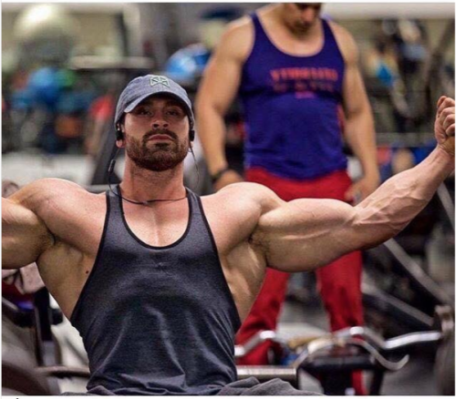 dafyddbach:    Bradley Martyn for 5300 followers.  For more muscle hunkery follow @dafyddbach