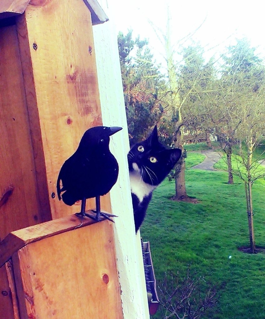 poyzn:  Animals that are really awesome. 