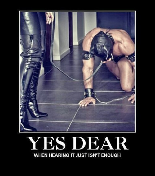 Men Must Openly Acknowledge Female Supremacy t.co/SpghkAUW4p via @polyfetishist— slave