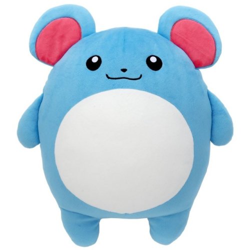 bonrealprophecies:Strong pikablu
