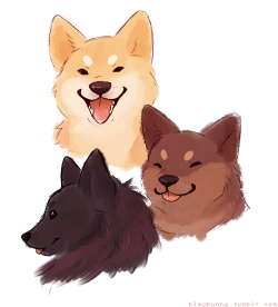 playbunny:  did some stress free doggie doodles