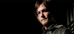 All Things Norman Reedus
