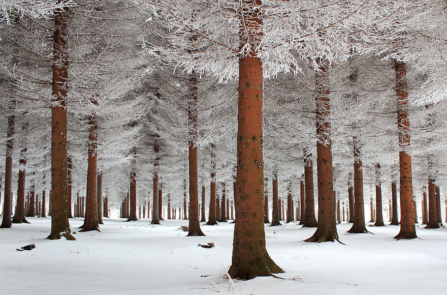 odditiesoflife:  Winter Wonderland Winter can be as beautiful as it is frigid –