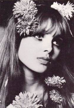 juniperfect:  Madeline Smith for Biba, 1967