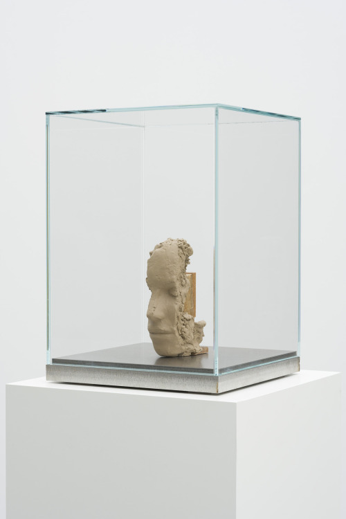 Mark MandersUnfired Clay Head, 2015–2016Painted epoxy, wood, stainless steel, glassCourtesy Ze