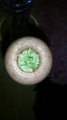 bakeddd-barbiee:  new bowl I picked up yesterday