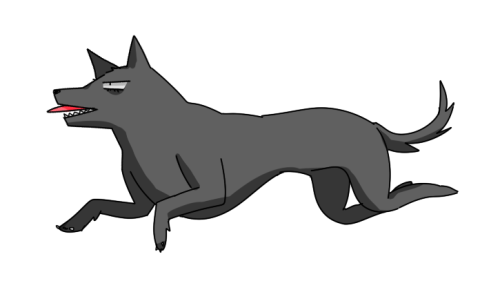 a transparent arakita dog thing