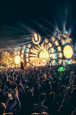 edmvibe:  Ultra Music Festival - 2014 