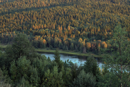 Duved in Jämtland, Sweden.