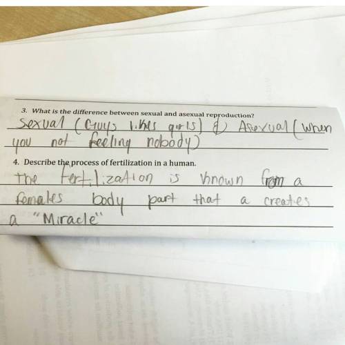 teachermisery:“Mom, where did I come from?”“Well, I used to be asexual (I wasn’t feeling nobody) but