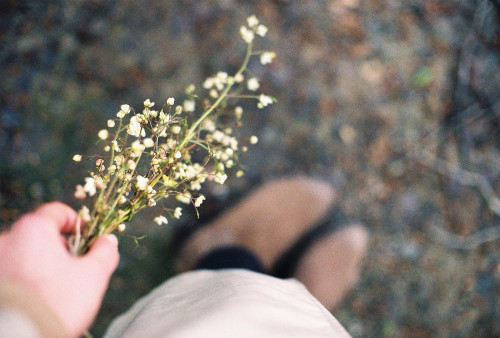 palmingly:Untitled by müjgan afra özceylan