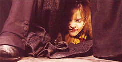 mbthecool:  “Young girls are told you have to be the delicate princess. Hermione