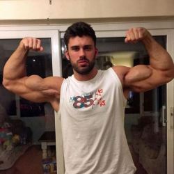 anothercuriousfratbro2:gun show