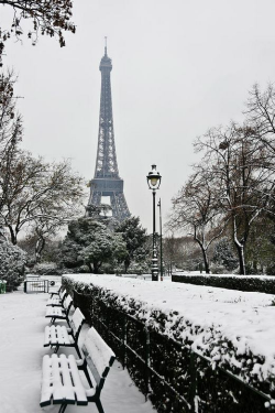 ilaurens:  Snow Carpets Benches And Eiffel Tower - By: (Jade and Bertrand Maitre)