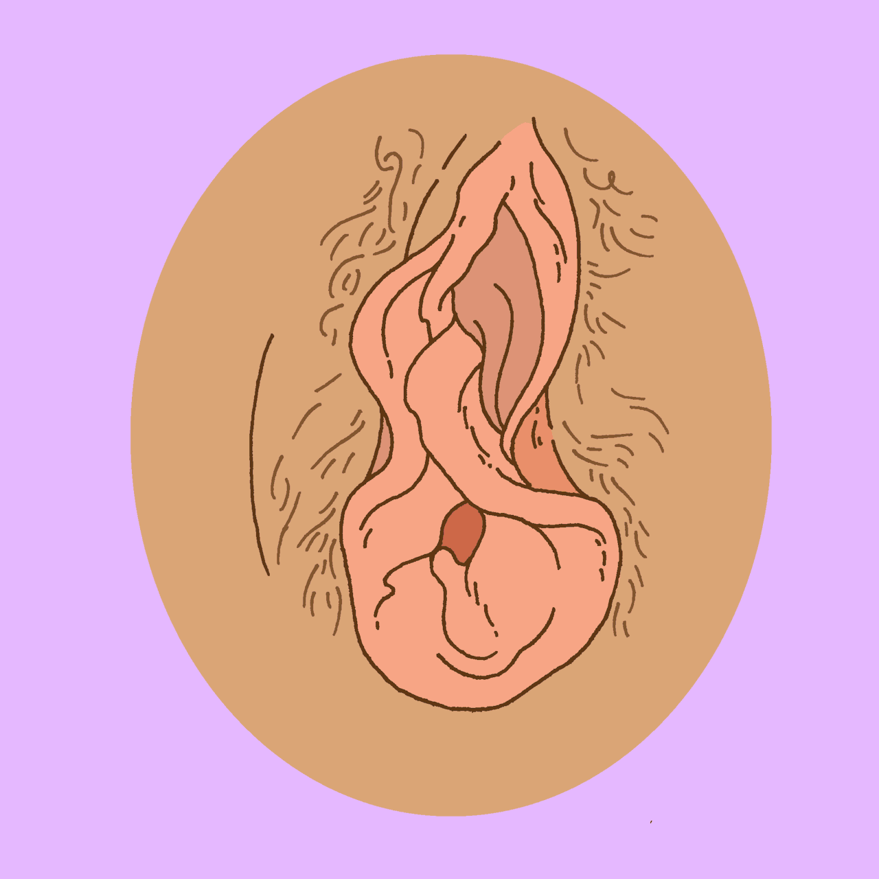 lauracallaghanillustration:  Let’s talk about Vaginas! I’ve illustrated some