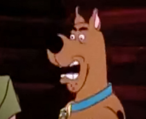 scoobydoomistakes:“…that’s a zoinks and a half, right there” I am very shor