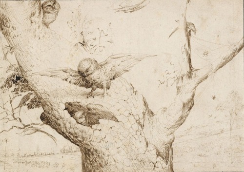 The Owl&rsquo;s Nest by Hieronymus Bosch, 1505-1516