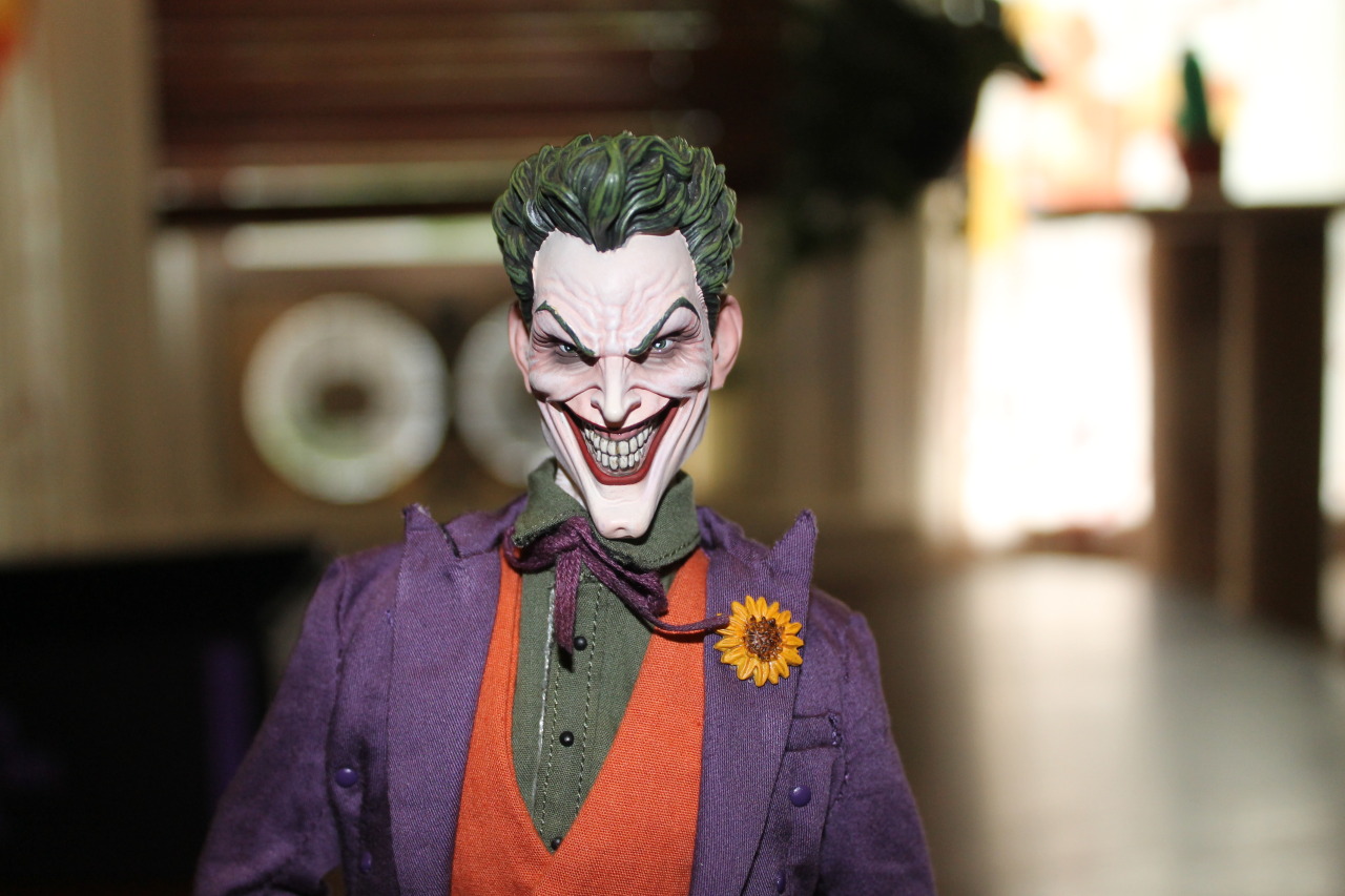 blithefool:  Alright, kiddies. Here he is- The Sideshow 1/6 Scale Joker. Overall,