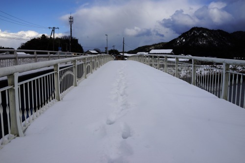 One snowy morning. / 雪かき、足あと、軒下、白菜。