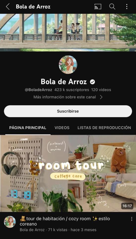 Cuentas De Vlogs.