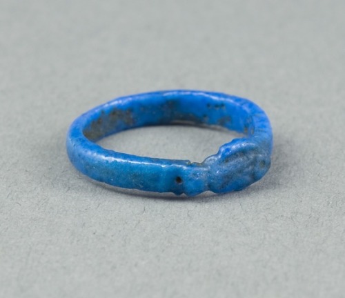 Ring: Figure of a Fish, Ancient Egyptian, -1390, Art Institute of Chicago: Ancient and Byzantine Art