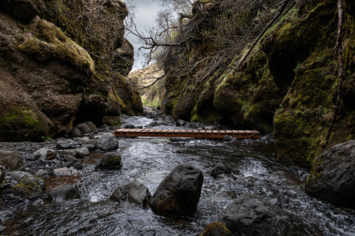 Nauthsagil, Iceland