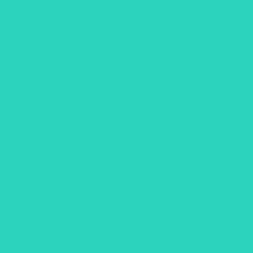 nighttime-skylines:prettycolors:#2dd2bc✌️