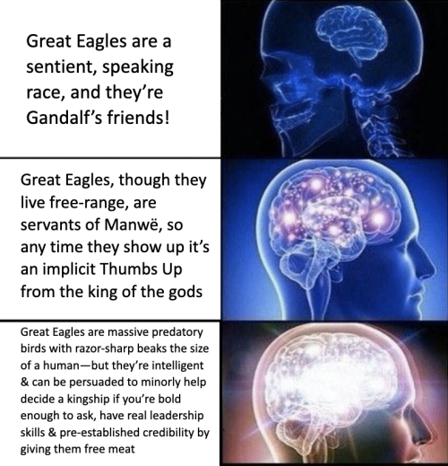War Of The Rohirrim Was Fucking Great.