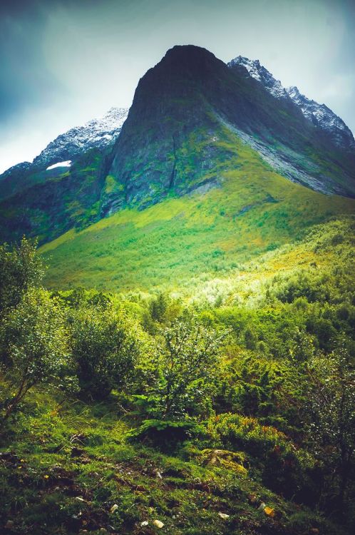 voiceofnature - Hiking in the Norwegian mountains. My Instagram ~...