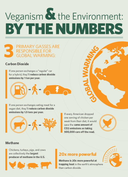 tiedyedsunfl0wer: VEGANISM &amp; THE ENVIRONMENT 