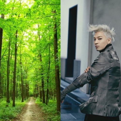 sexywolvesandcookies: AvatarLA&amp;KPOP  BigBang GDragon - Fire TOP - Water  Taeyang - Earth  Da