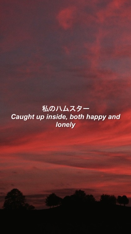 I get too attached, they don’t even know me | Hayley Kiyoko - “Feelings”~Listen here~ 