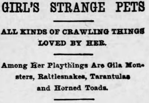 yesterdaysprint: Evening Star, Washington DC, January 9, 1903