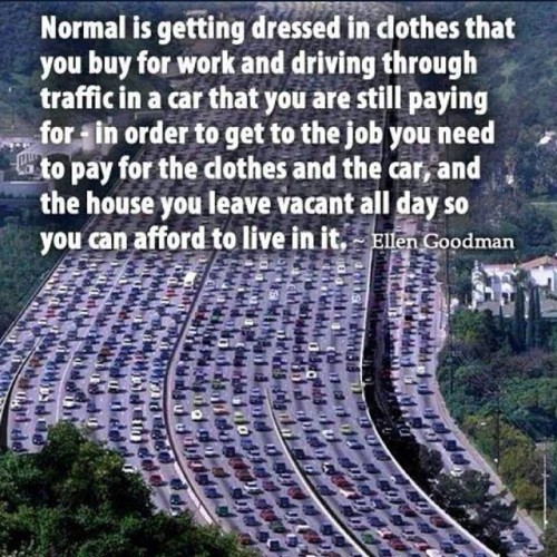 desertwolfaz:  Ain’t it the truth!