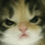 streamie-was-taken
