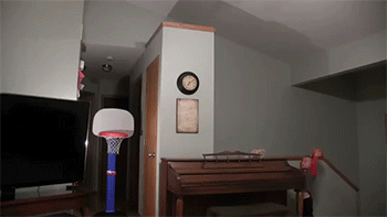 mermaid&ndash;six:  girl—rage:  trouble-makker:  How  future kid  