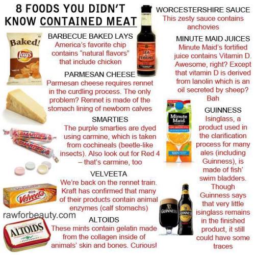 vegannvagina:  veganmovement2012:  8 foods that you didnt know contained meat   I discovered the Altoids a little while back. I always hate finding surprise gelatin in stuff   Mmmm more meat