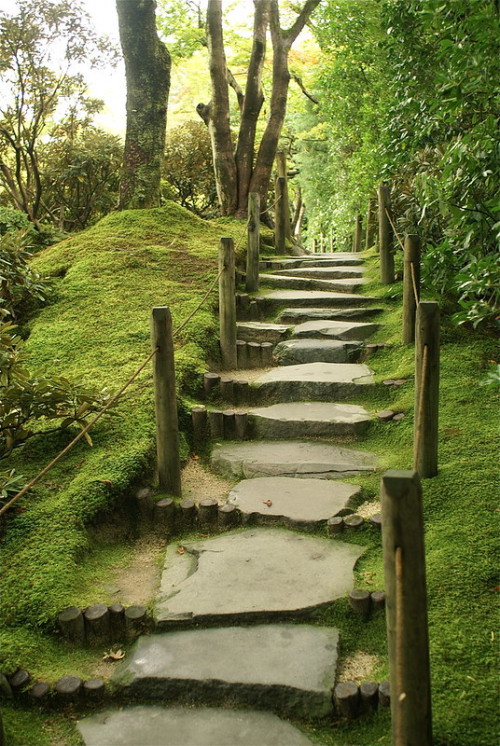 shinjjuku:松陽園 by TokioViews