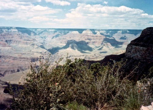 Grand Canyon From the North Rim, 1974.My first visit to this wonder!