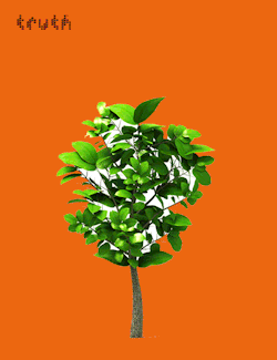 truthorange:  1 tree is killed for just 15 packs of cigarettes #truth
