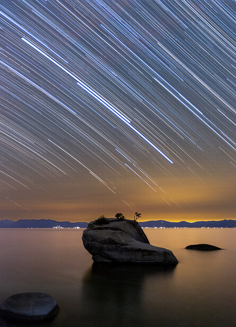 neptunesbounty:  Bonsai Trails by tobyharriman on Flickr. 