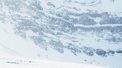 winterfel-blog:  You mustn’t be afraid to dream a little bigger, darling. 