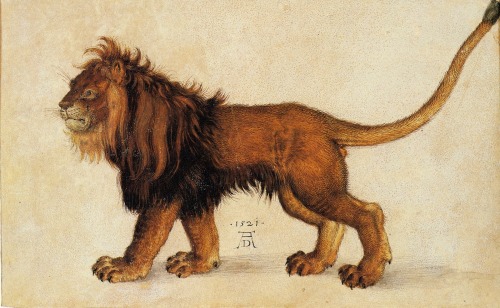 dappledwithshadow:Albrecht Dürer 