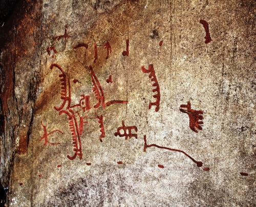 ancientart:Section from the Bronze Age rock carvings in Tanum, Sweden.The rock carvings in Tanu
